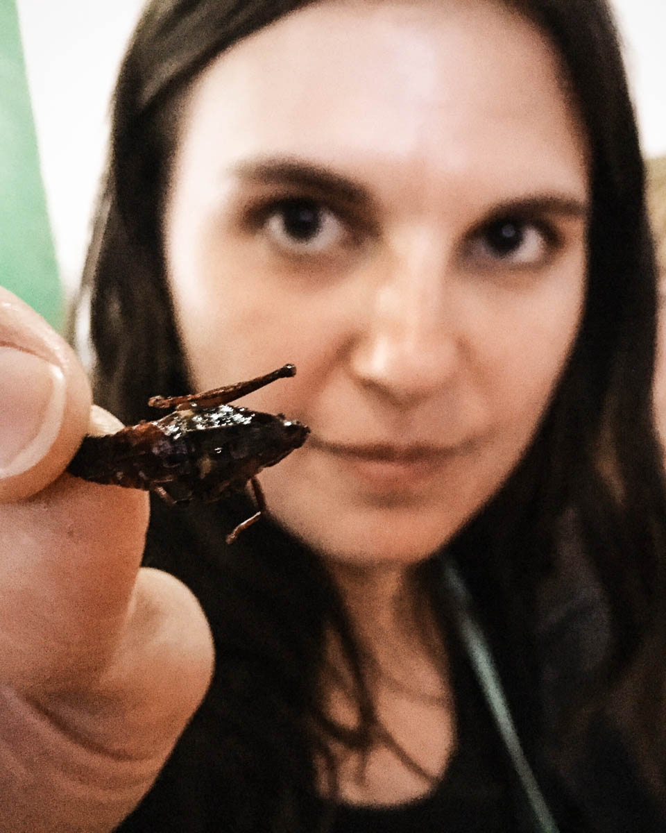 chapulines oaxaca must eats