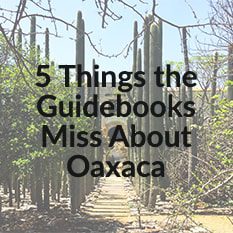 things to do in oaxaca