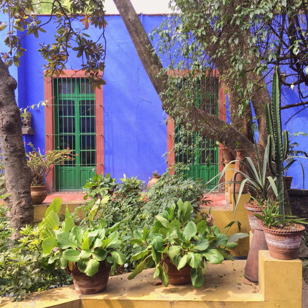 Garden at the Frida Kahlo Museum Mexico City