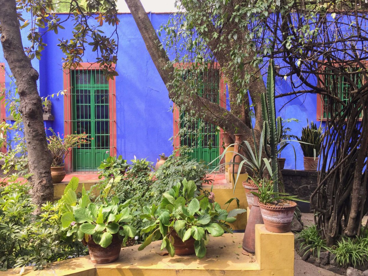 Garden at the Frida Kahlo Museum, Mexico City,
