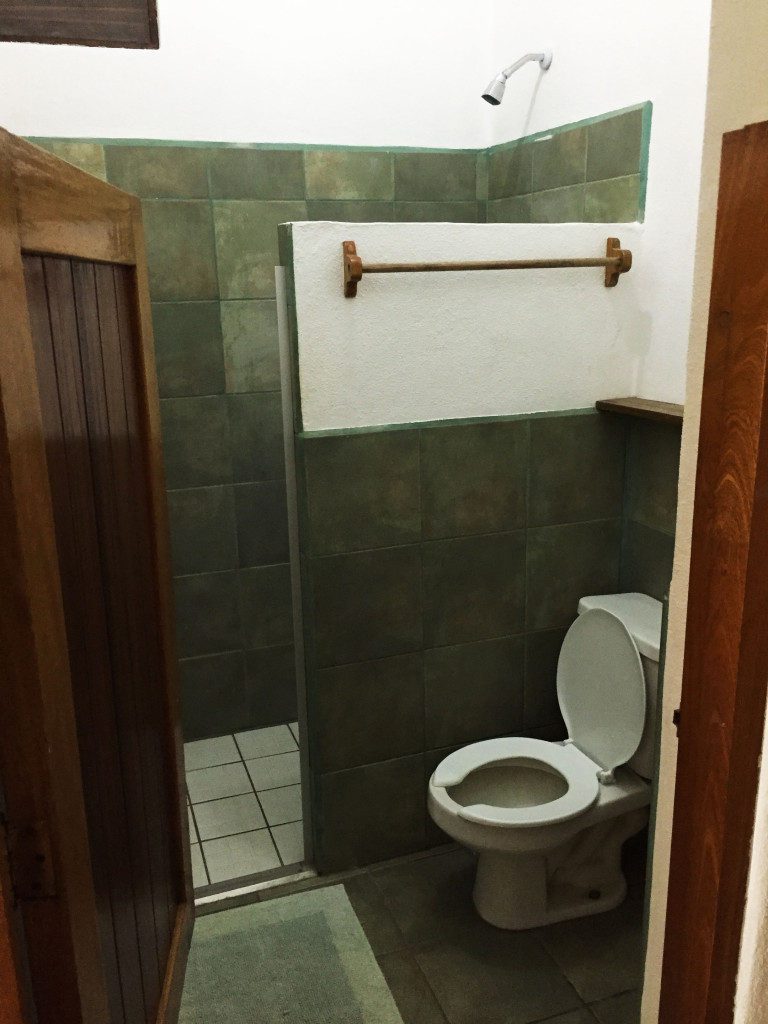 View of the bathroom - notice the half door.