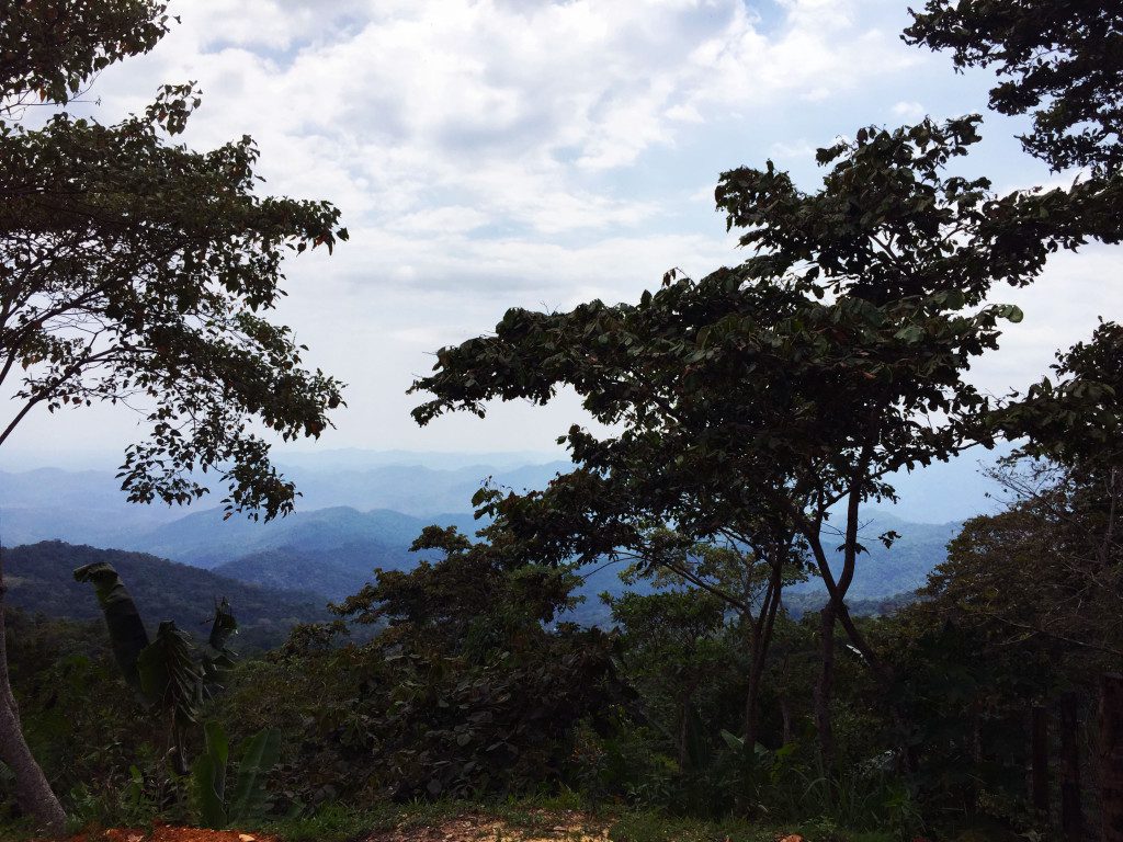 Pluma Hidalgo Mountain Views