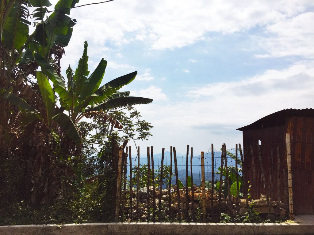 Jungle and Mountains in Pluma Hidalgo