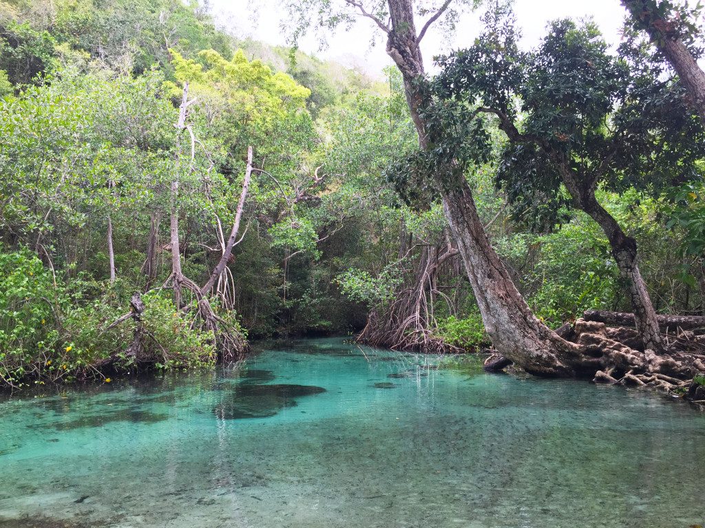 CaÃ±o FrÃ­o in Rincon Beach, Dominican Republic