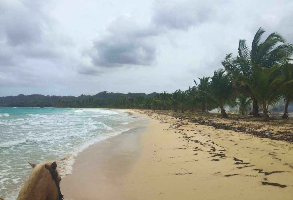 Samana Peninsula, Dominican Republic - Rincon Beach horseback