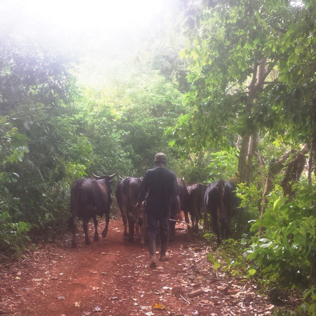 Las Galeras hiking to Playa Fronton