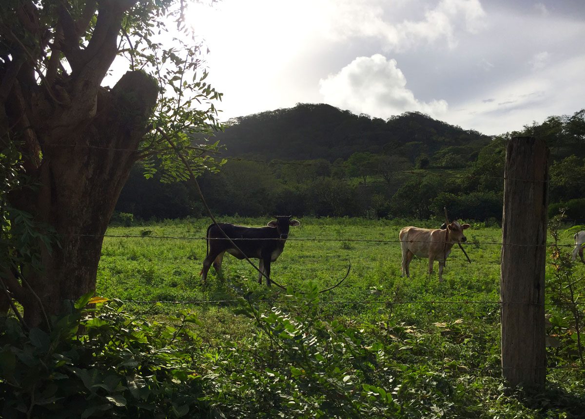 San Juan del Sur walking