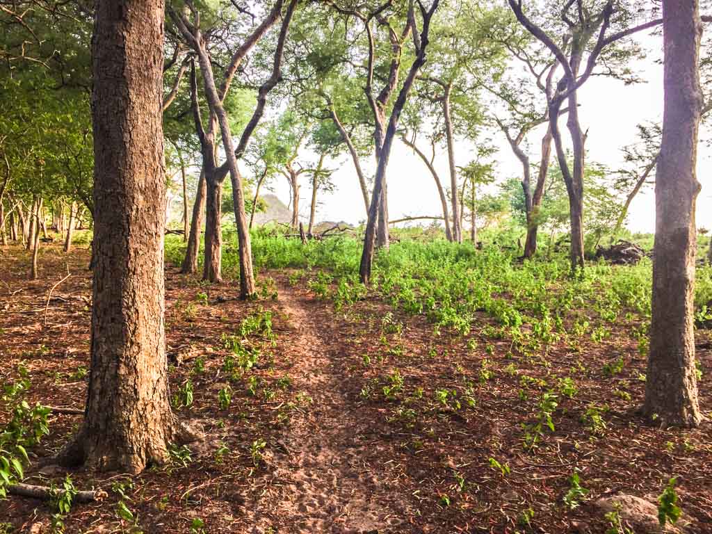 Playa la flor nicaragua hiking