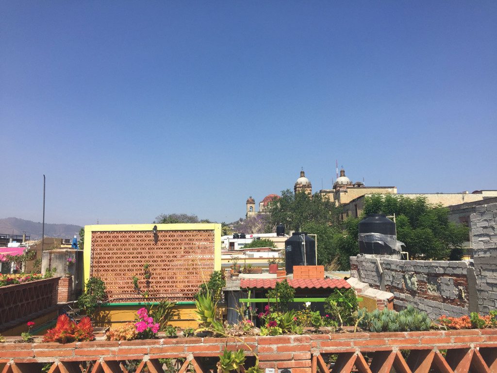 View of the city from the beautiful rooftop.