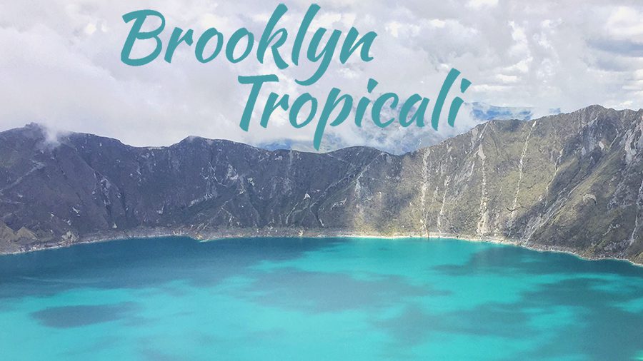 Brooklyn Tropicali header