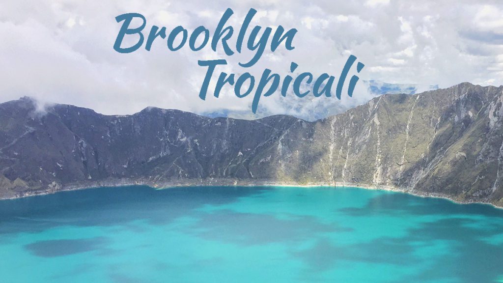 Brooklyn Tropicali Header