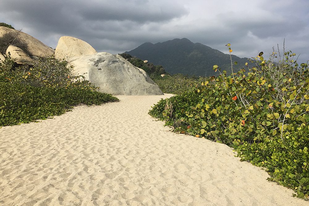 beach path 4×3 1000