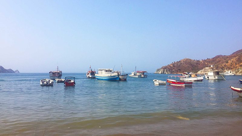 Boats in the Taganga harbor