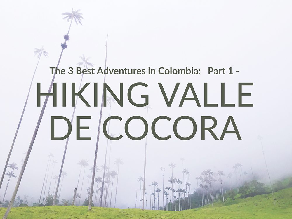Hiking Valle de Cocora guide