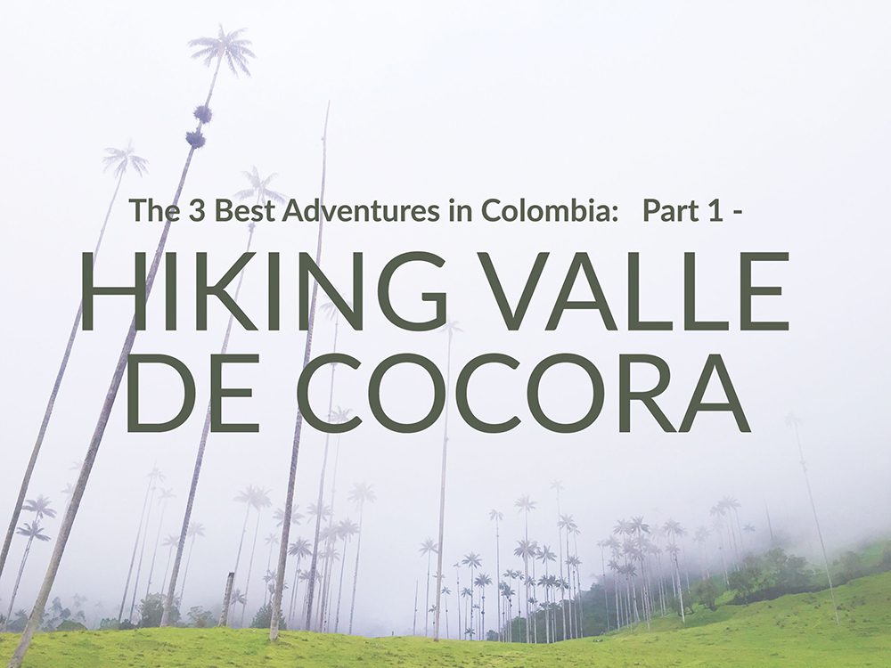 hiking valle cocora hiking valle cocora