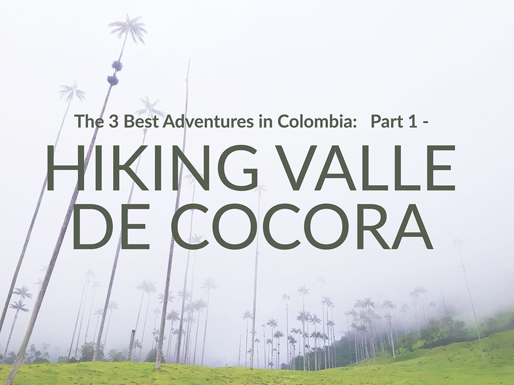 hiking valle cocora