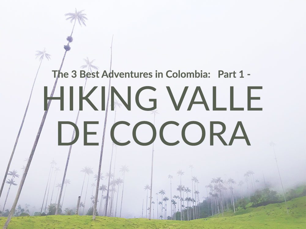 Hiking Valle de Cocora thumbnail