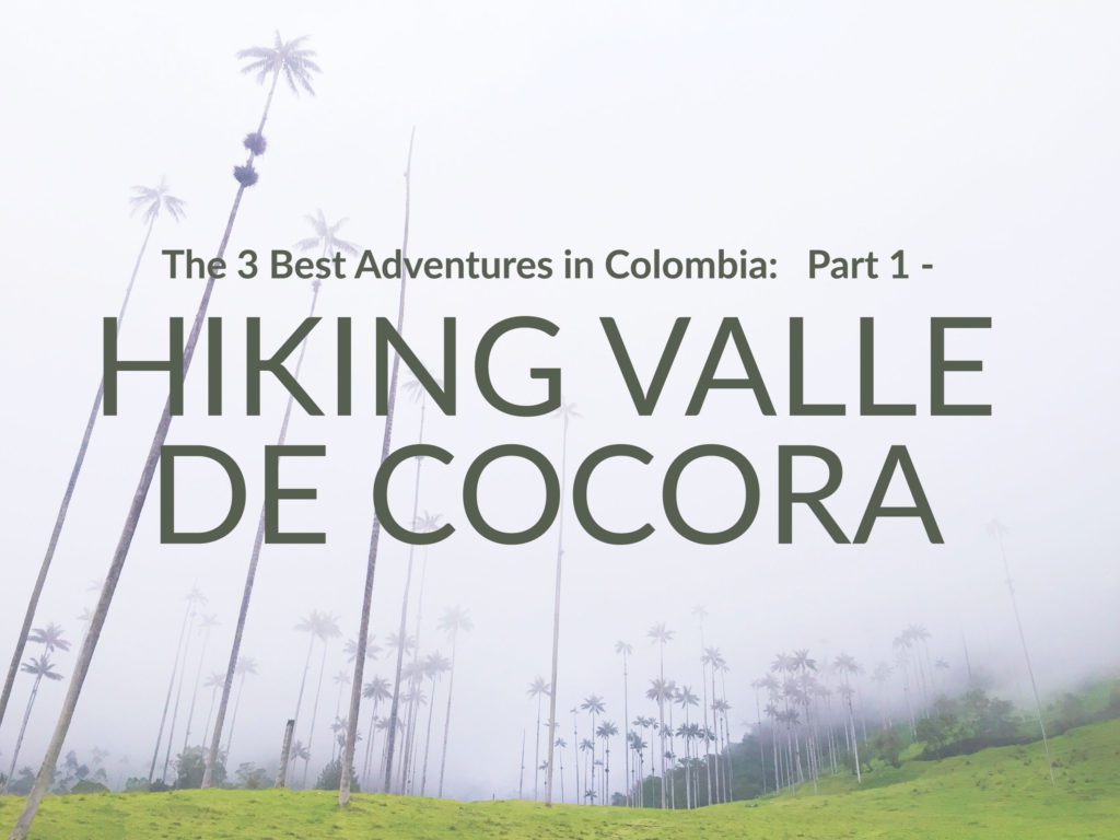 Hiking valle de cocora, colombia