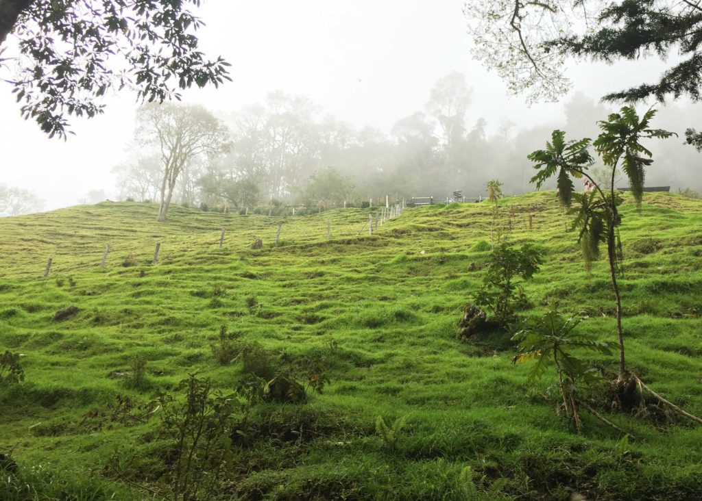 Finca la Montaña from below, Colombia