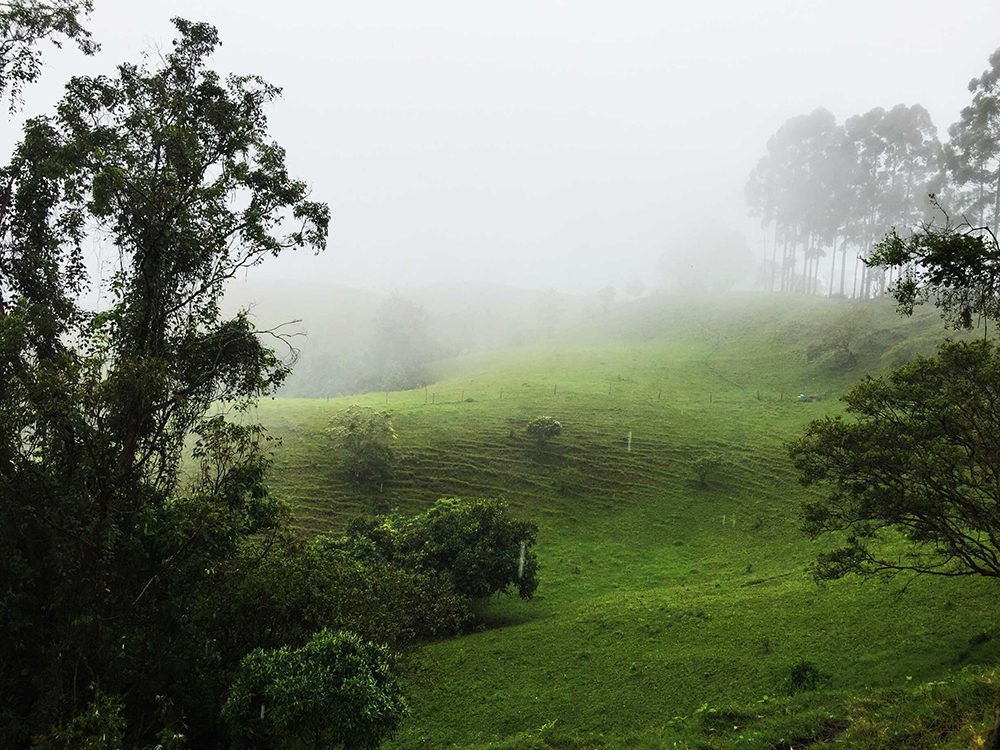 Farmland on the road between Salento and Yambolombia