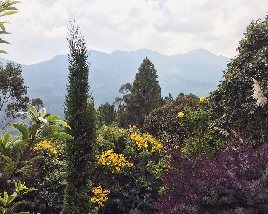 gardens at Monserrate Bogota Colombia gardens at Monserrate Bogota Colombia
