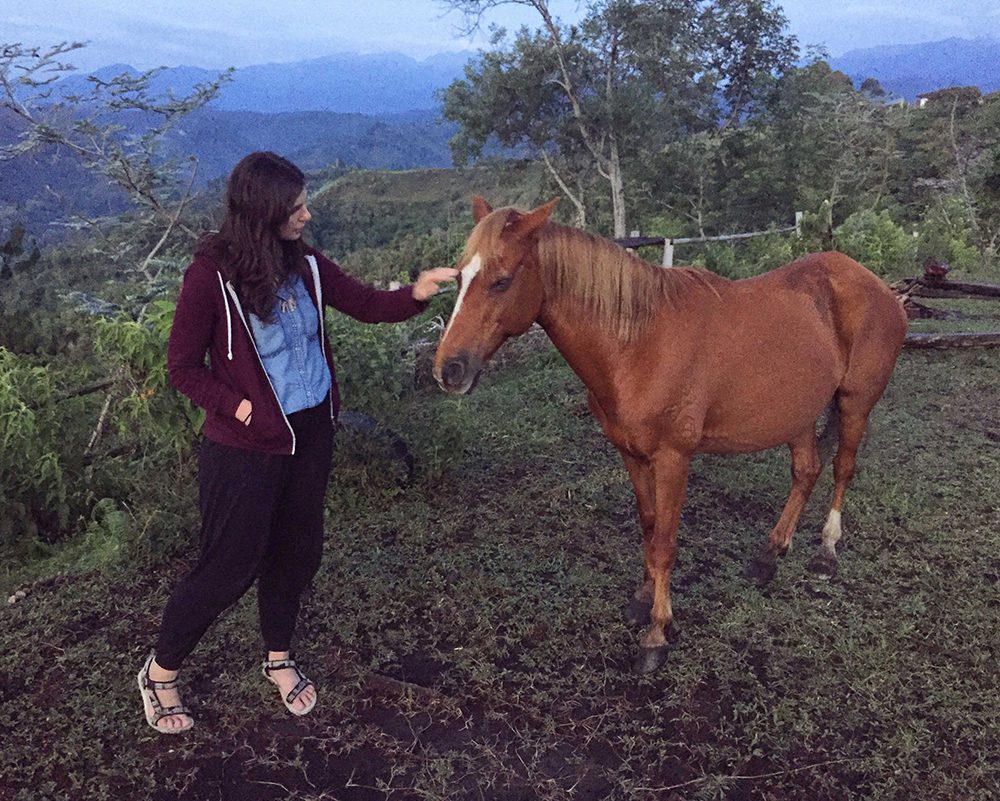 The resident horse at Yambolombia hostel.