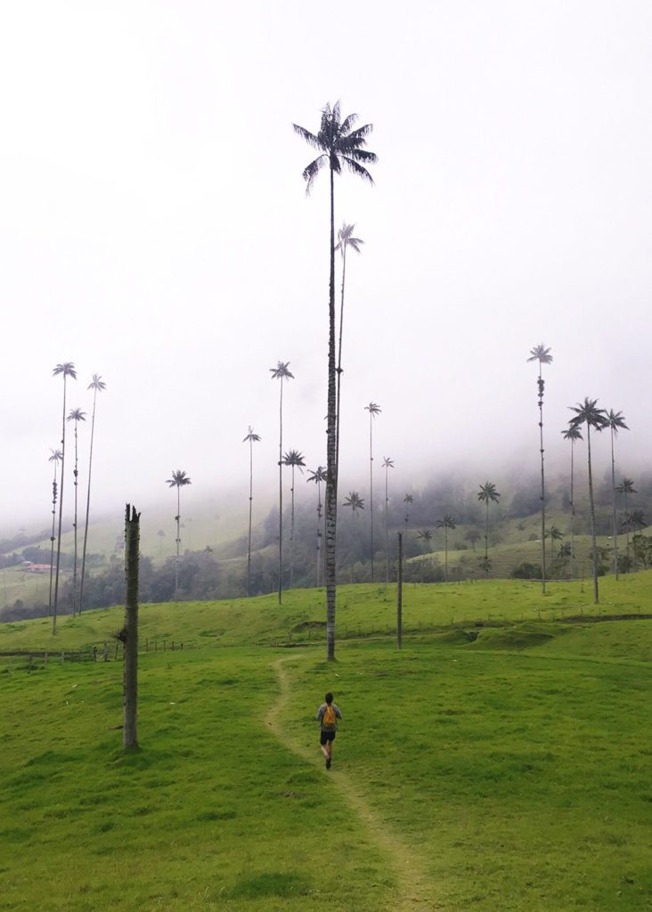 Justin in Valle de Cocora, Salento