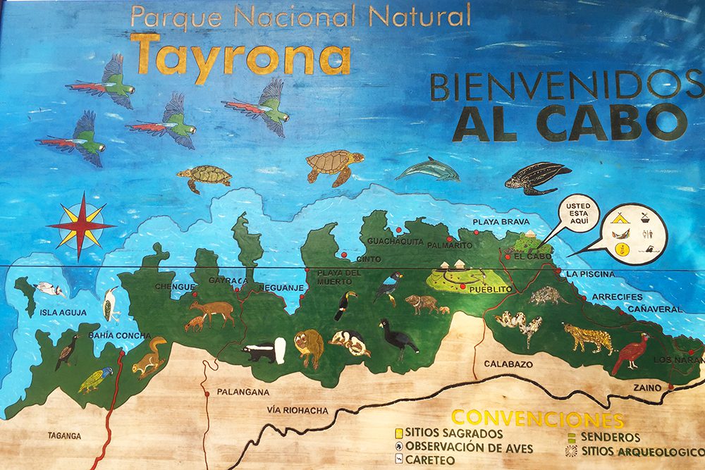 Illustrated map at the entrance of Cabo San Juan. Save this image to your phone before starting the hike for easy reference along the way. Map of Parque Tayrona, Colombia