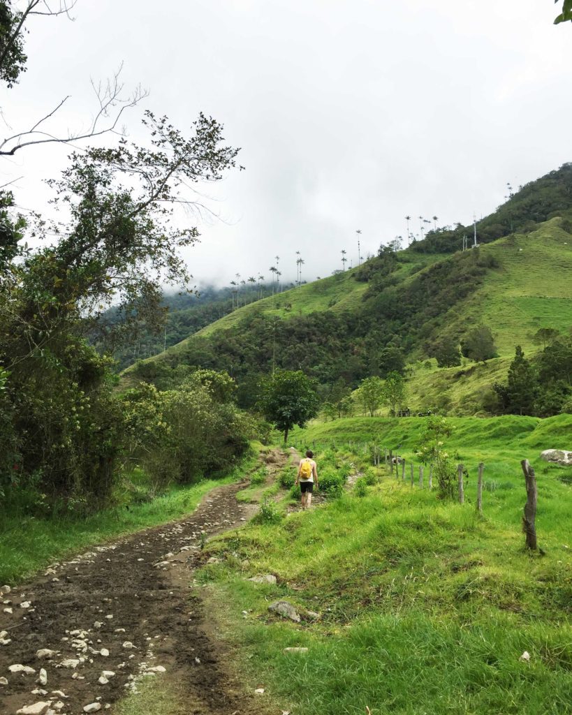 Start of path to Valle de Cocora hiking loop, Colombia