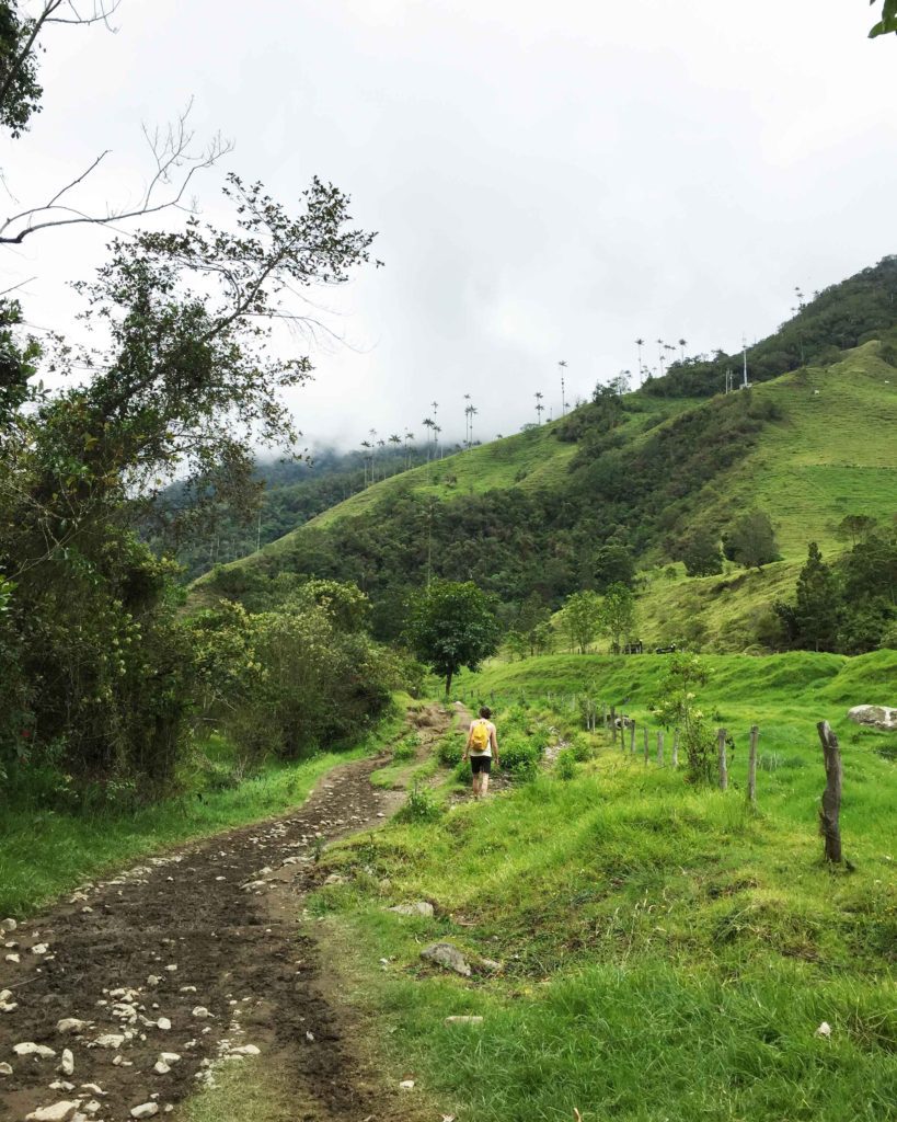 Beginning path to Valle de Cocora hike, Colombia