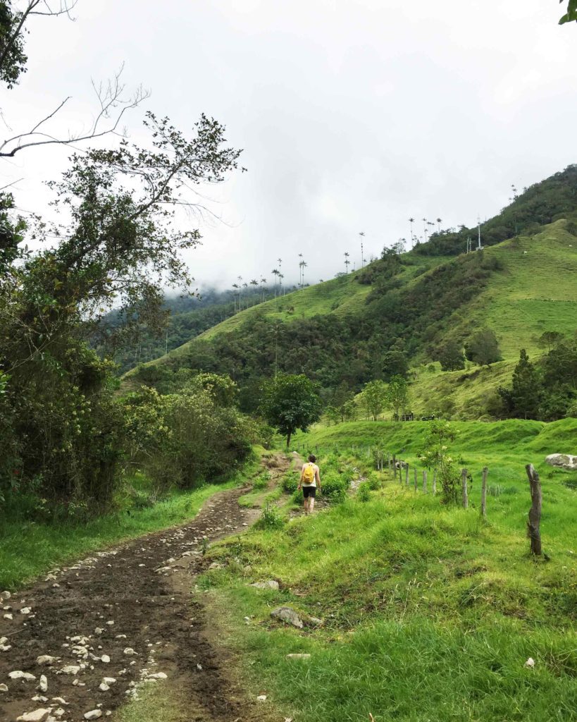 Path to Hiking valle de cocora, colombia