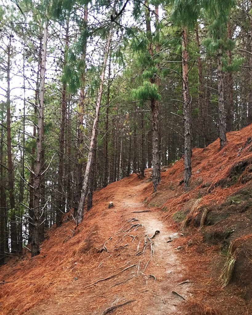 hiking path quebrada la vieja bogota