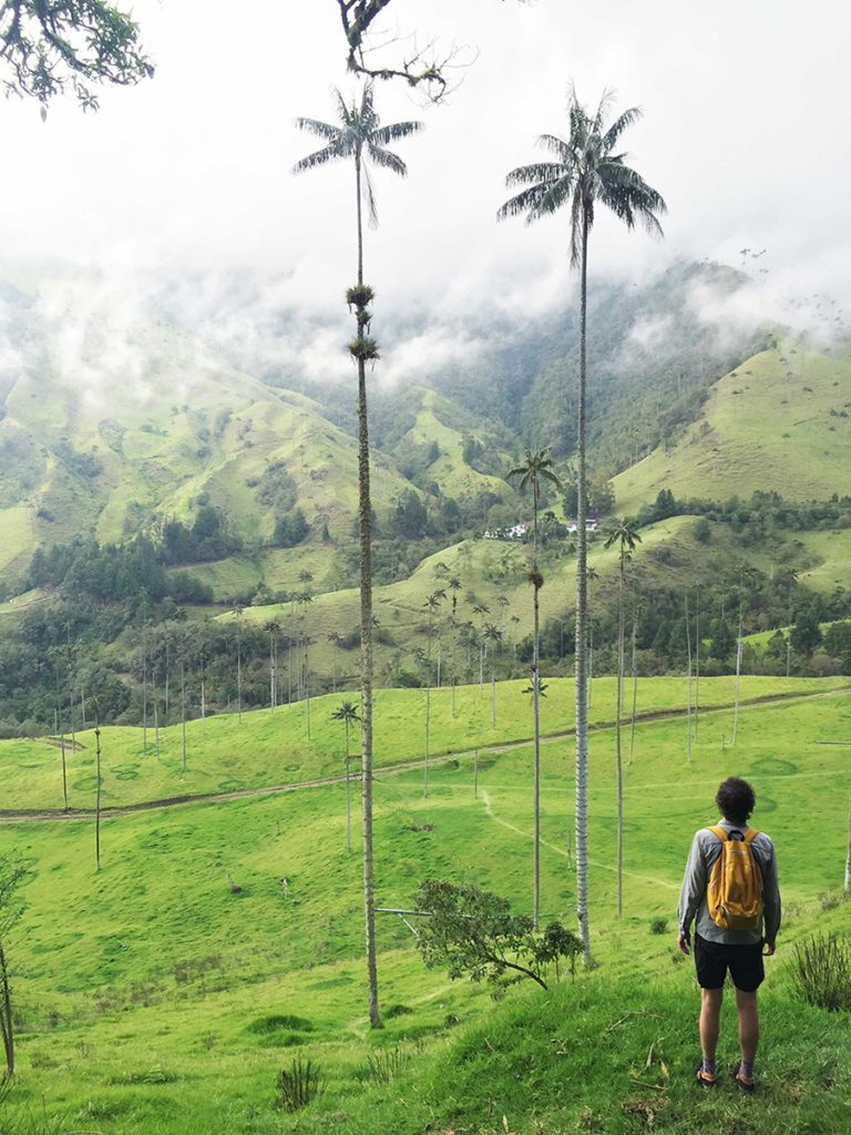 top-of-the-hill-4×3-opt Justin looking at Valle de Cocora, Colombia