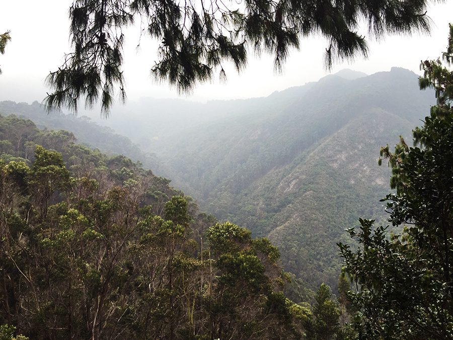 Valley next to bogota colombia