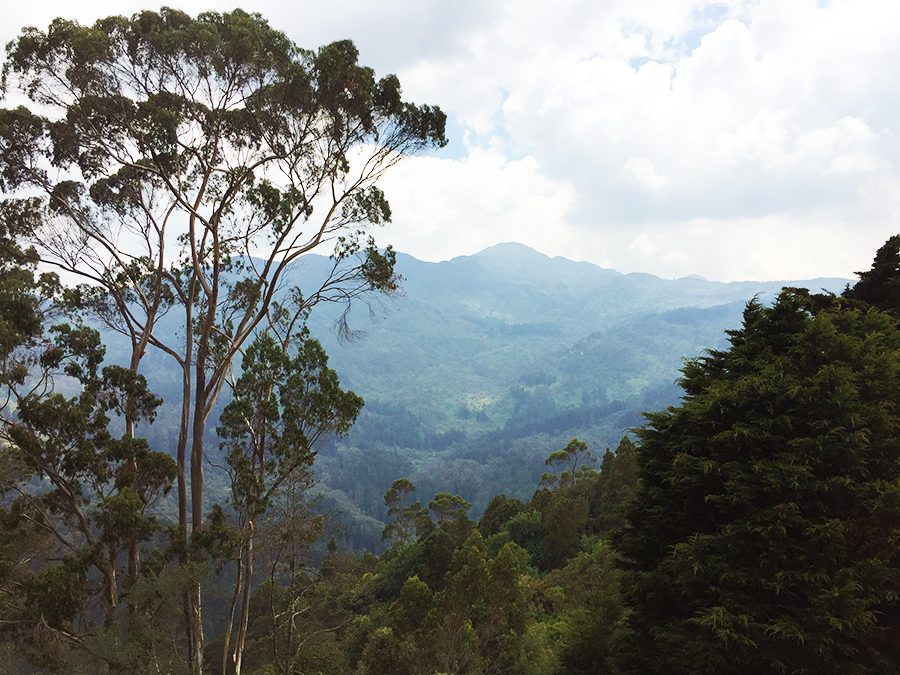Things to Do in Bogota Things to Do in Bogota