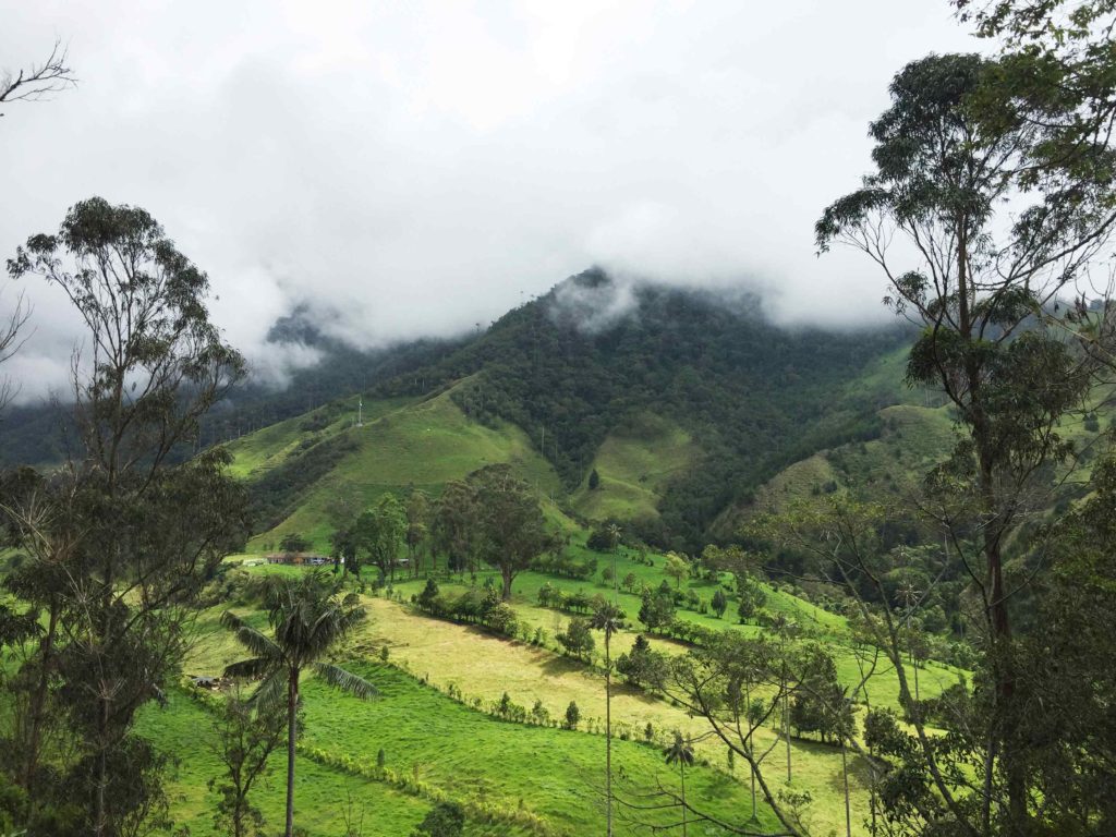 Valley at Valle de Corcora