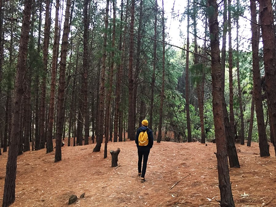 hiking quebrada la vieja bogota