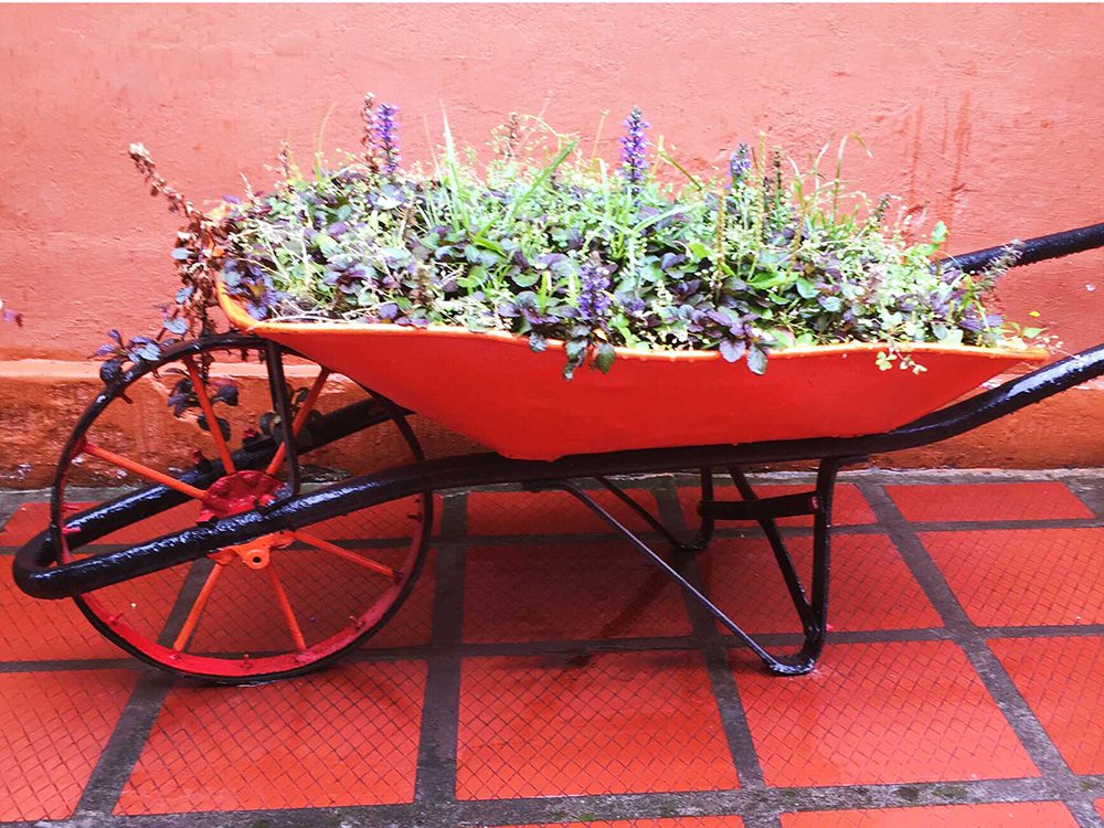 Wheelbarrow in Salento, Colombia