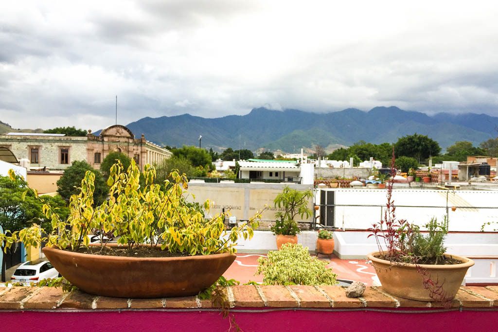 roof view la olla oaxaca