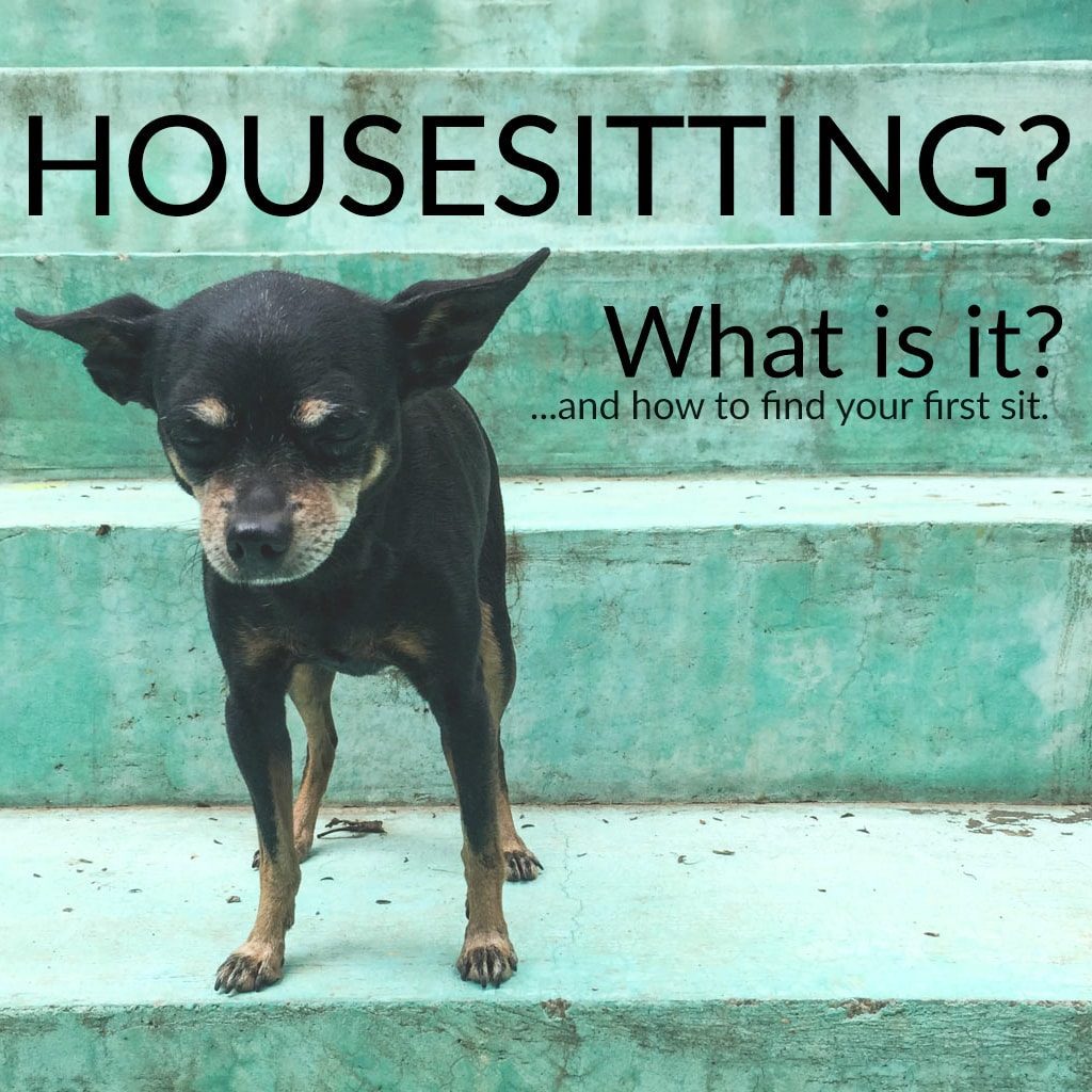 how to find your first housesit