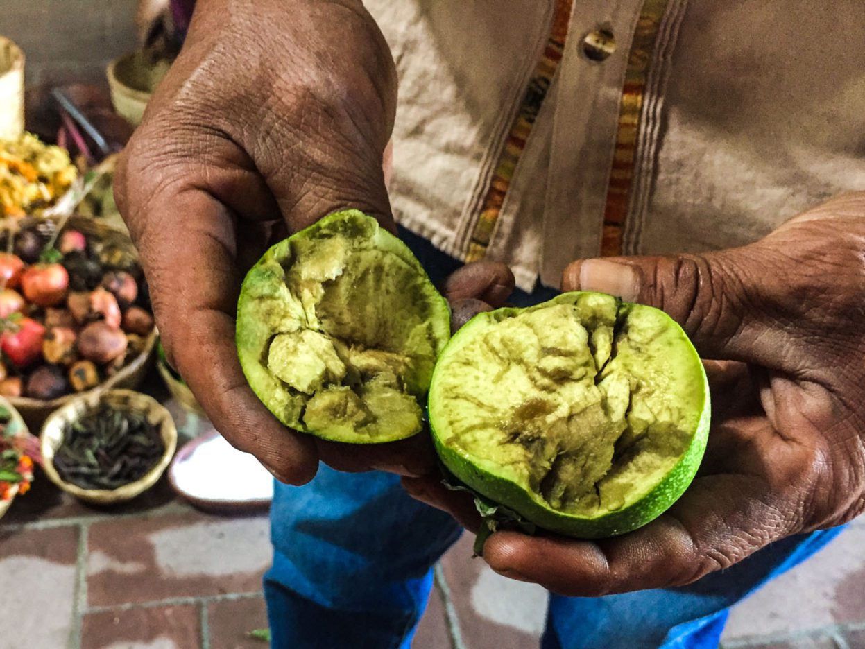 Sapote fruit is used for creating a rich brown dye Sapote fruit - used for creating a brown dye