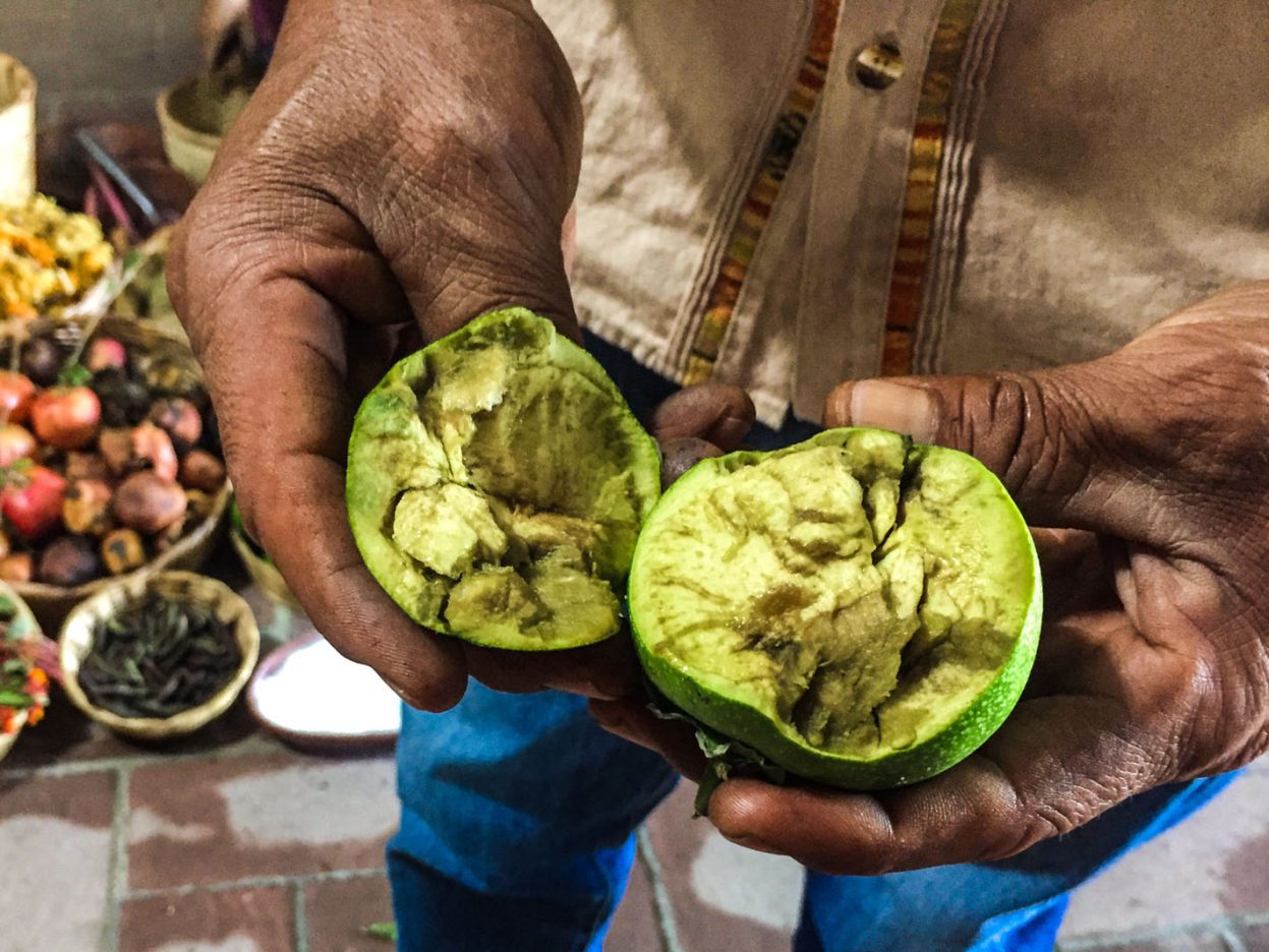 Sapote fruit - used for creating a brown dye