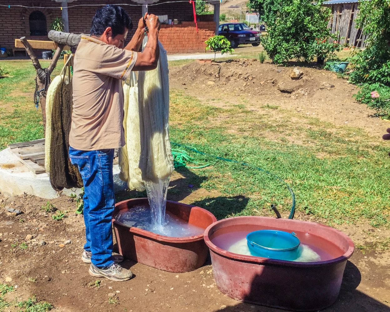 Jacobo washes the yarn with natural soaps before the dyeing process. tour oaxaca