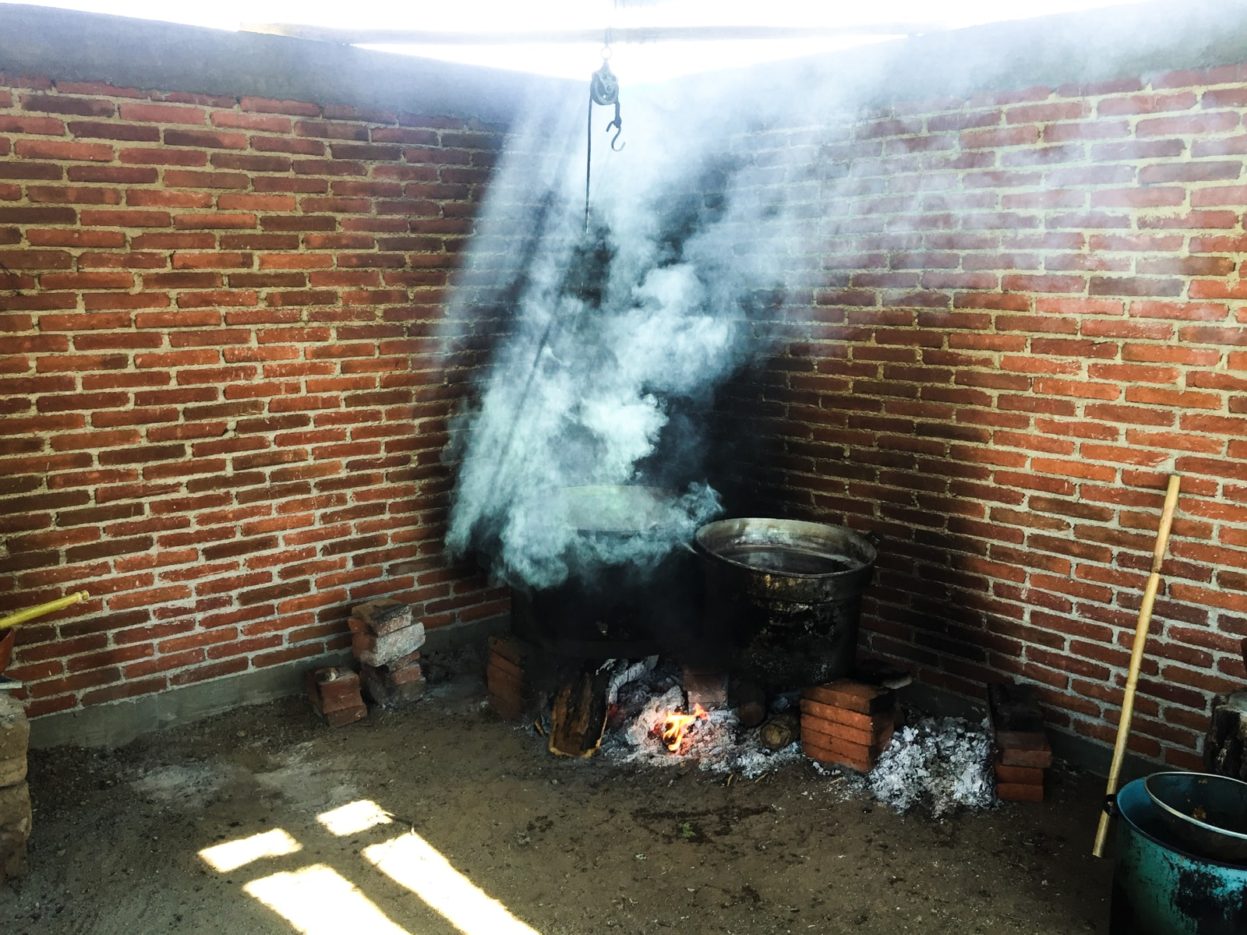 natural dyes in oaxaca