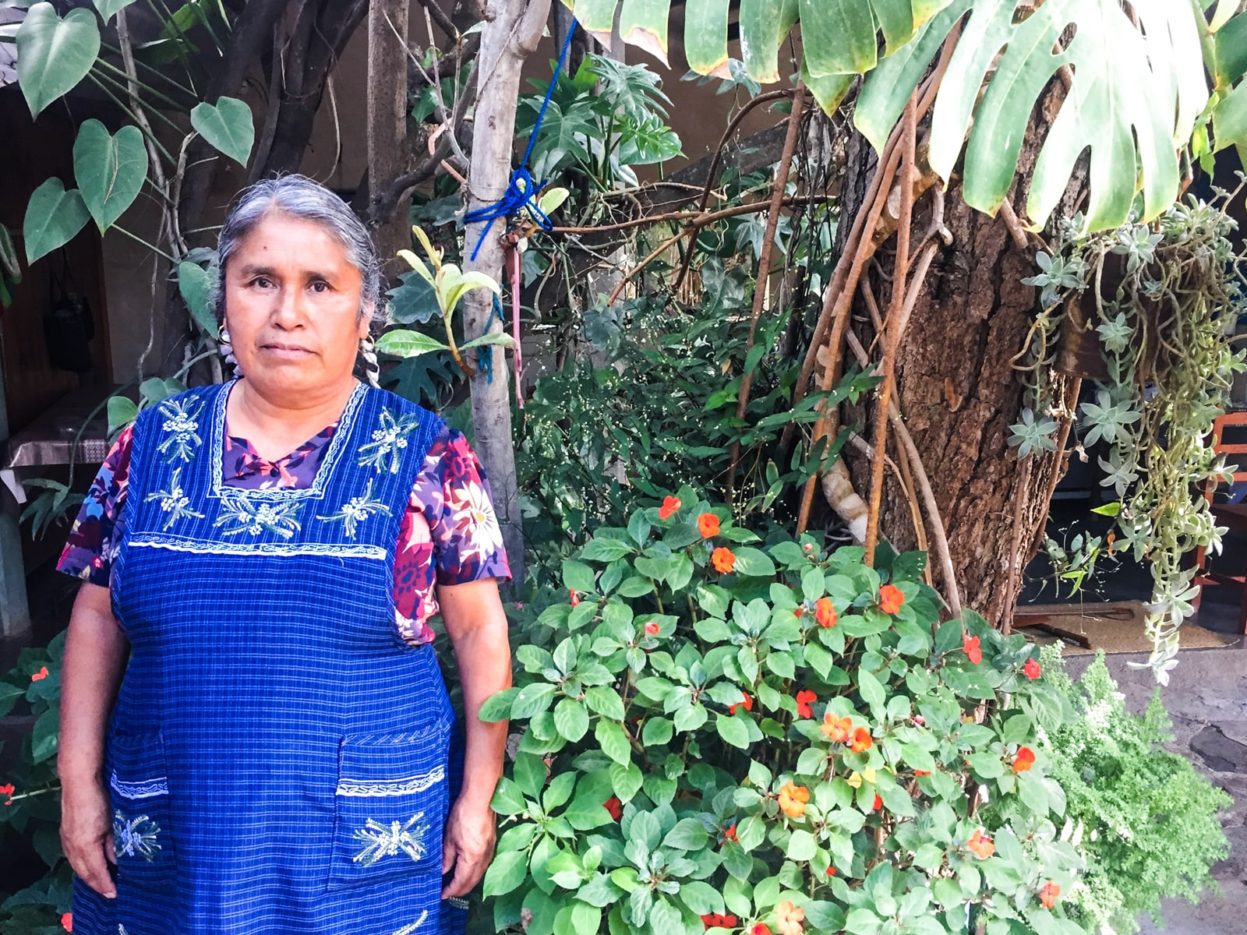 Crispina Navarro Gómez, an award winning and accomplished traditional weaver. best oaxacan textiles tour crispina navarro gomez weaver in santo tomas jalietza best oaxacan textiles tour
