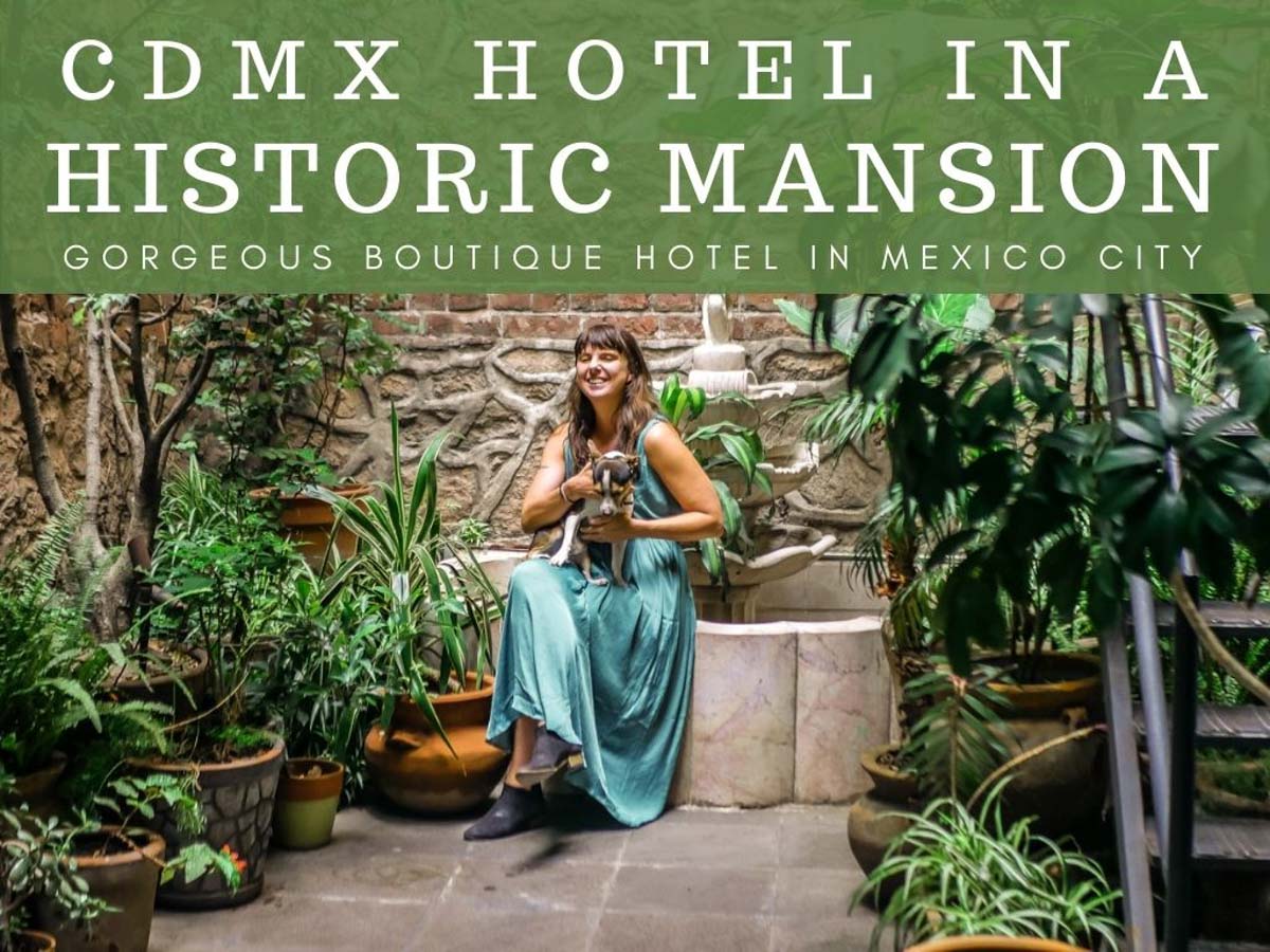 boutique hotel in mexico city el patio 77 historic hotel boutique hotel in mexico city el patio 77 historic hotel