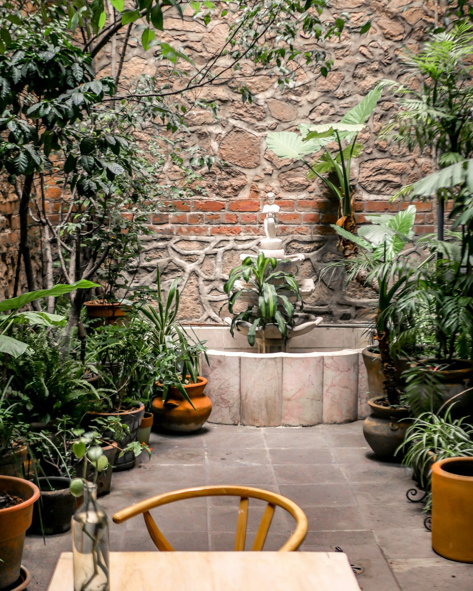 entry way el patio 77 boutique hotel in mexico city entry way el patio 77 boutique hotel in mexico city