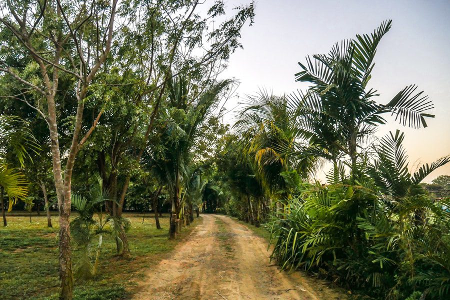 driveway casa lajagua boutique hotel panama