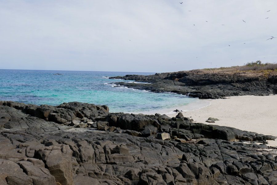 isla iguana beach