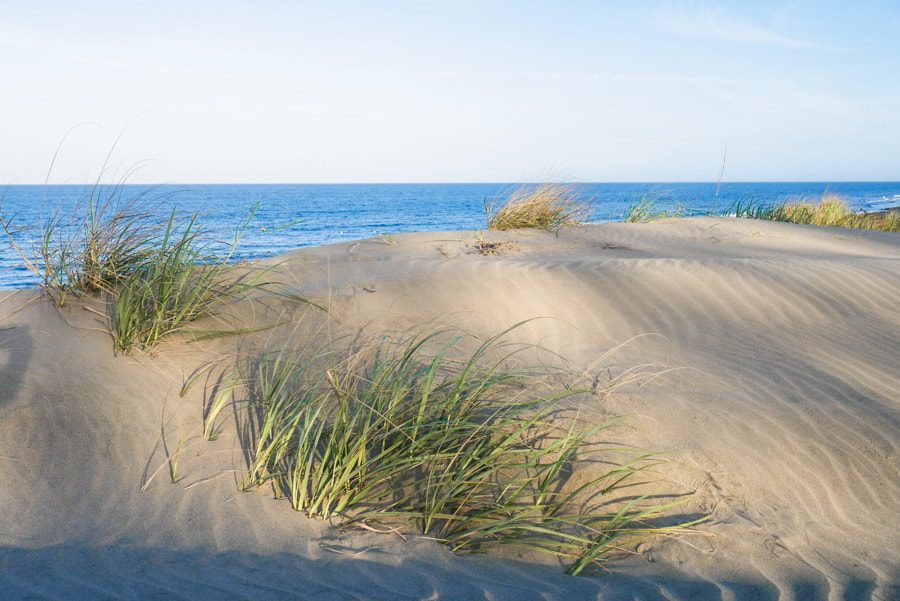 playa arenal panama sand dune